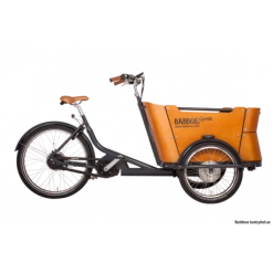 BABBOE Curve Velo Triporteur