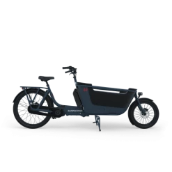 WINORA Family Utility Bike F.U.B. 2W Cargo EBike Biporteur FUB